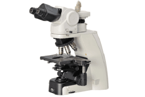 Compound Microscopes