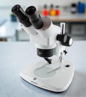 64.400 AR Euromex Novex Stereo